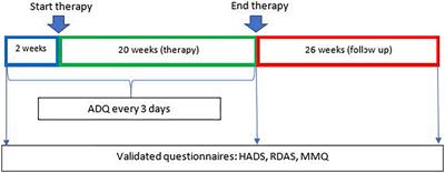 Emotionally focused couple therapy in cancer survivor couples with marital and sexual problems: a replicated single-case experimental design